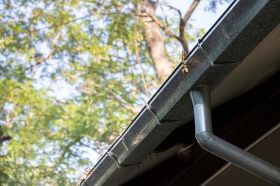 Environmental Factors Affecting Gutter Covers